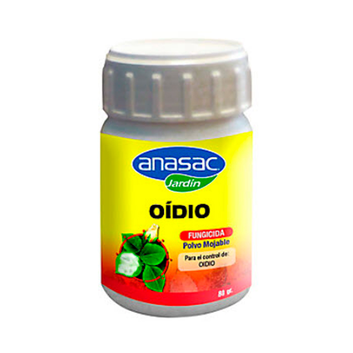 Oidio_80_Grs_X_Un